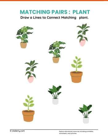 Matching Pairs Plants