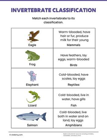 Animal Classification Invertebrate