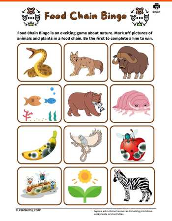 Food Chain Bingo