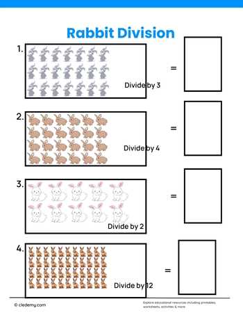 Rabbit Divisions
