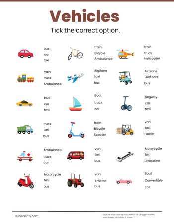 Picture with Option Vehicles
