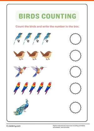 Birds Counting