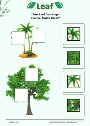 Tree Leaf Puzzle