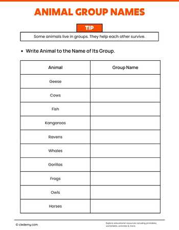 worksheet