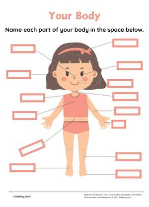 Write Parts of Body