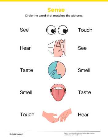 Sense Vocabulary