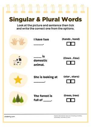 Write the Singular Words and  Plural Words 5