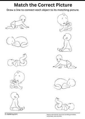 Match the Correct Picture Baby