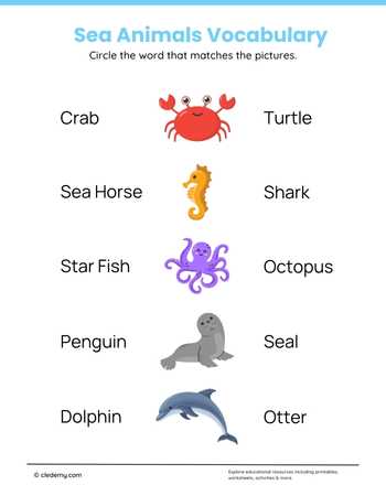 Sea Animals Vocabulary