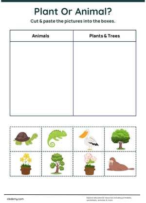 worksheet