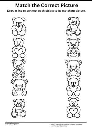 Match the Correct Picture Teddy