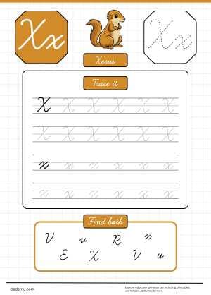Cursive Alphabet Lowercase & uppercase Xx