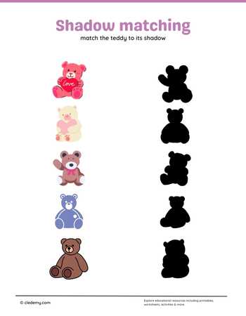 Teddy Shadow Matching