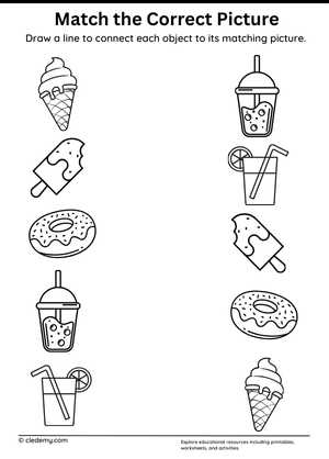 Match the Correct Picture Desert