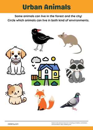 Urban Animal Hunt