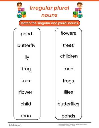 Irregular Plural Nouns