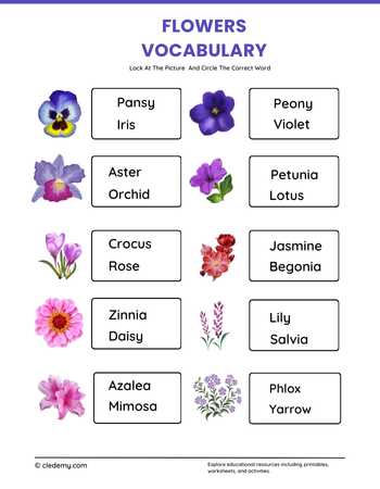 Flowers Medium Vocabulary