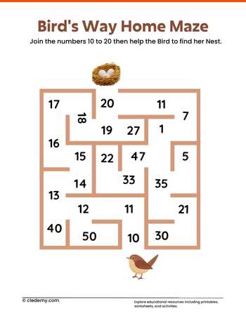 Bird's Way Home Maze