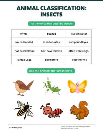 Animal Classification