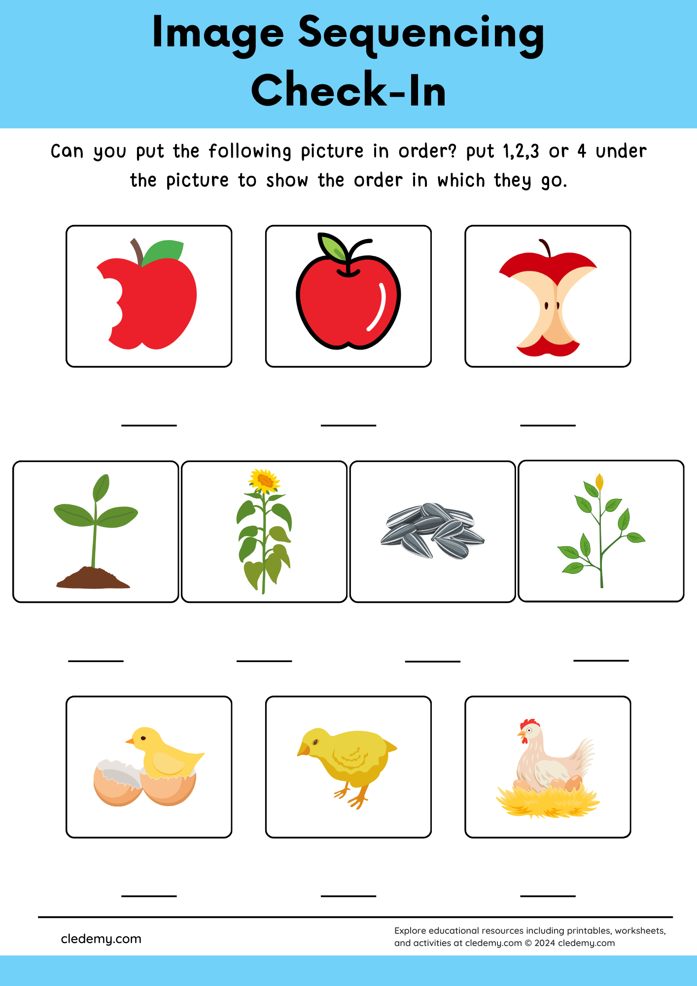 worksheet