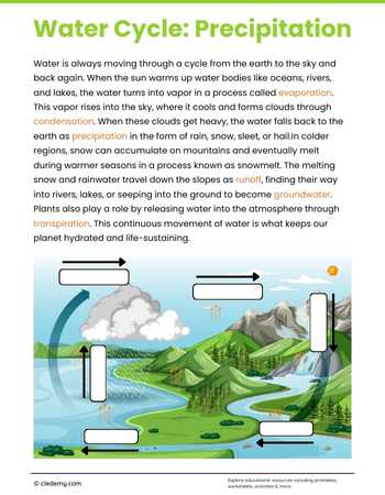 The Role of Precipitation in the Water Cycle