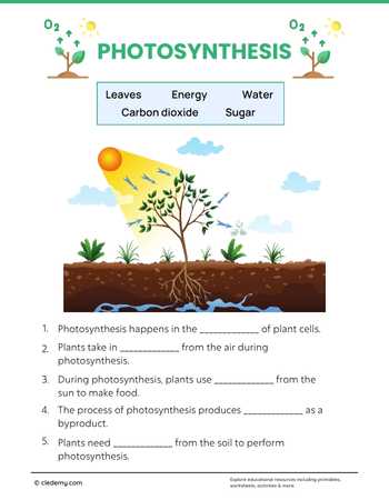 worksheet