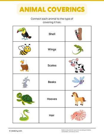 Learn About Animal Coverings