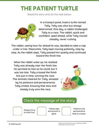 The Patient Turtle
