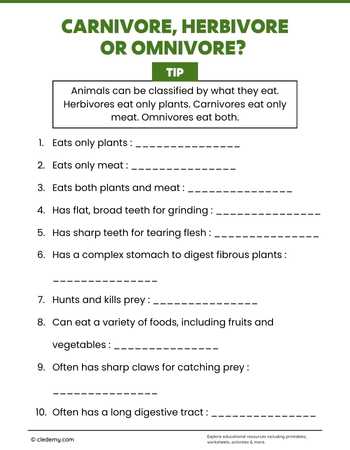 Carnivore, Herbivore or Omnivore