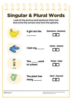 Write the Singular Words and  Plural Words 3