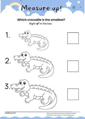 Measure Up: Which Crocodile is the Smallest?