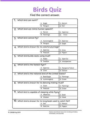 Birds Quiz