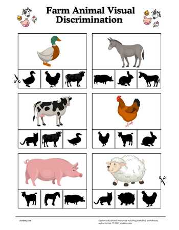 Farm Animal Visual Discrimination