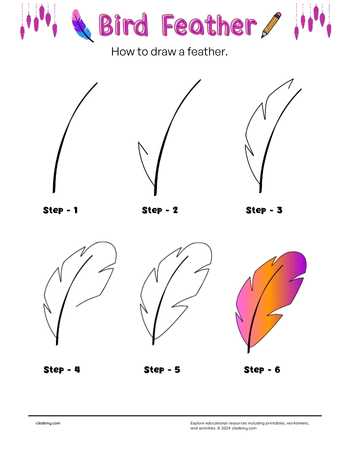 Bird Feather