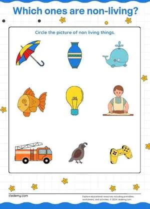 worksheet