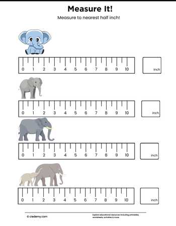 Elephant Measure