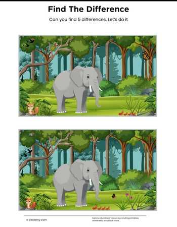 Find The Difference -Elephant