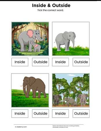 Inside or Outside- Elephant