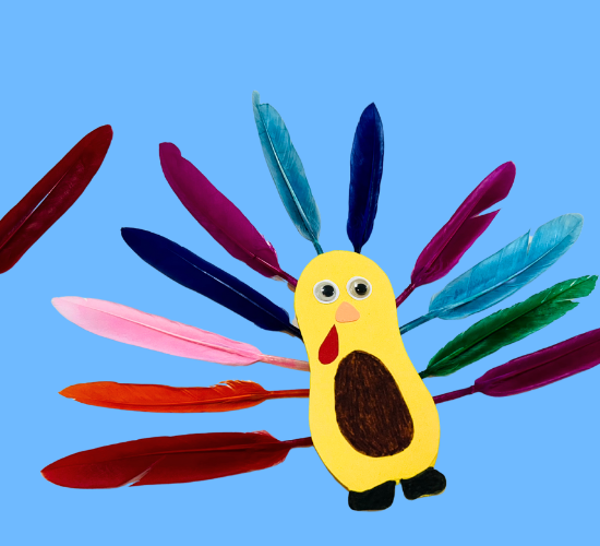 Bird Feather