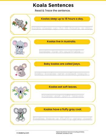 Tracing Sentence - Koala