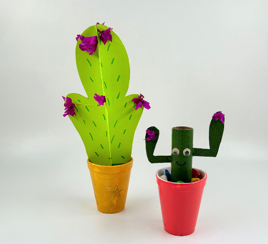 Cool Cactus Craft