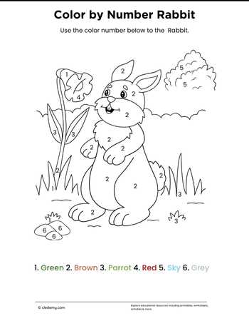 worksheet
