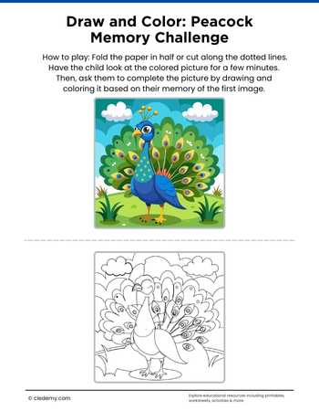 Draw and Color: Peacock Memory Challenge