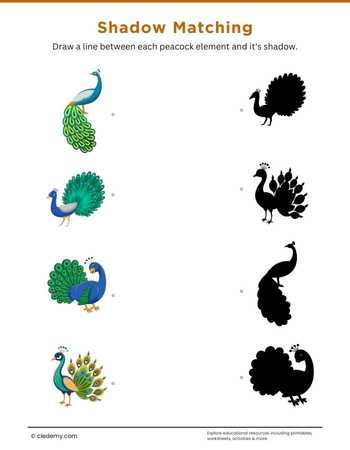Peacock Shadow Matching