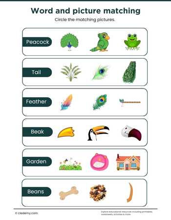 Peacock Word and Picture Matching
