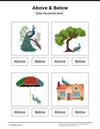 Above or Below- Peacock