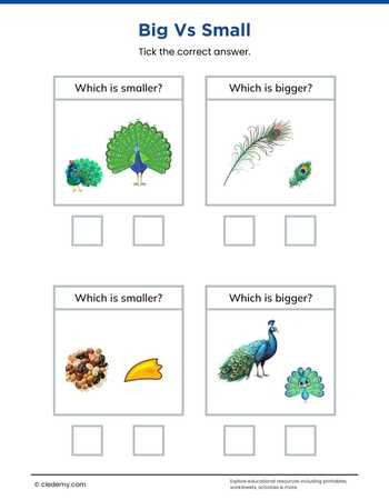 Big or Small- Peacock