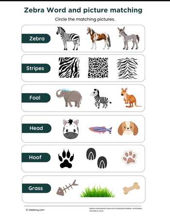 Zebra Word and Picture Matching