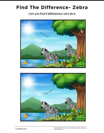 Find the Difference- Zebra