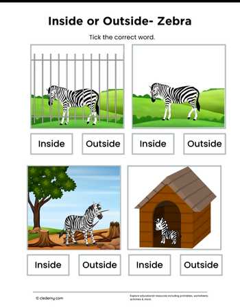 Inside or Outside- Zebra